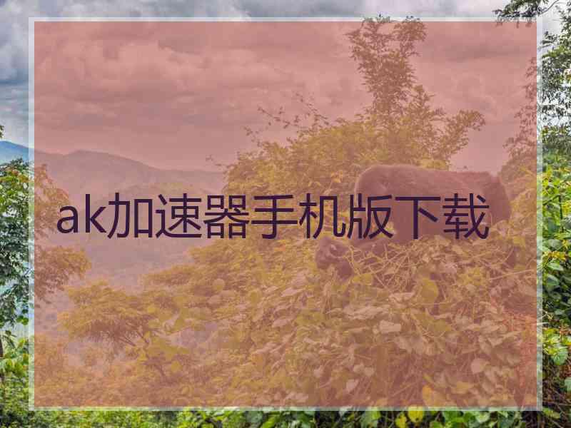 ak加速器手机版下载