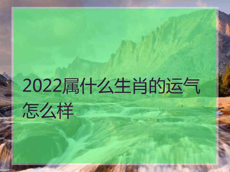 2022属什么生肖的运气怎么样