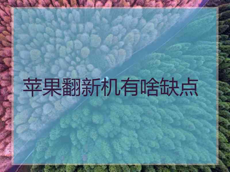 苹果翻新机有啥缺点