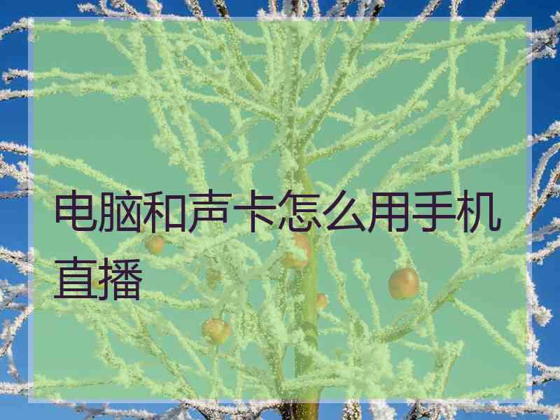 电脑和声卡怎么用手机直播