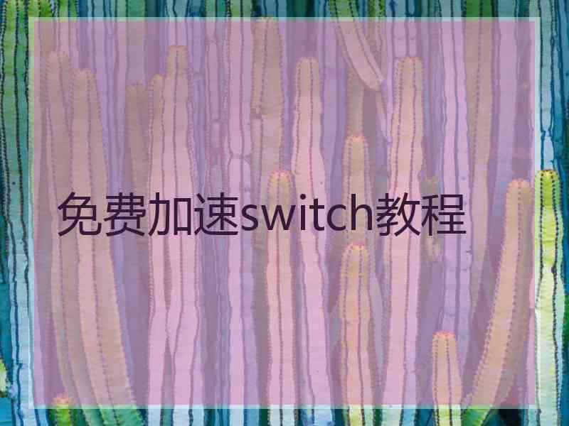 免费加速switch教程