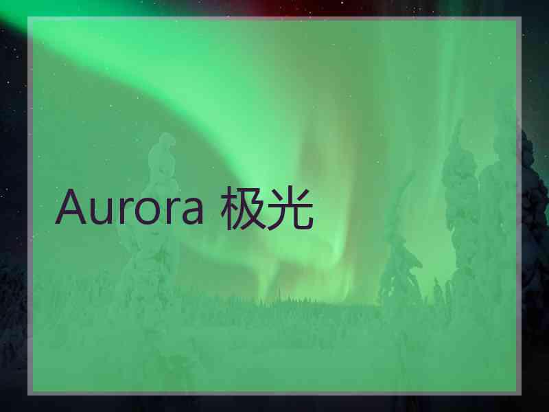 Aurora 极光