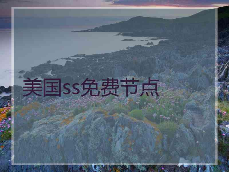 美国ss免费节点