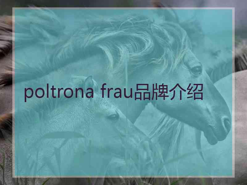 poltrona frau品牌介绍