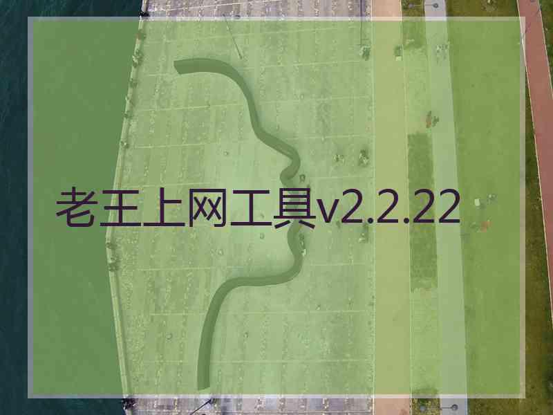 老王上网工具v2.2.22