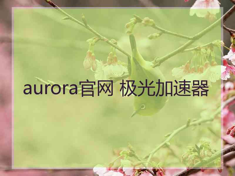 aurora官网 极光加速器