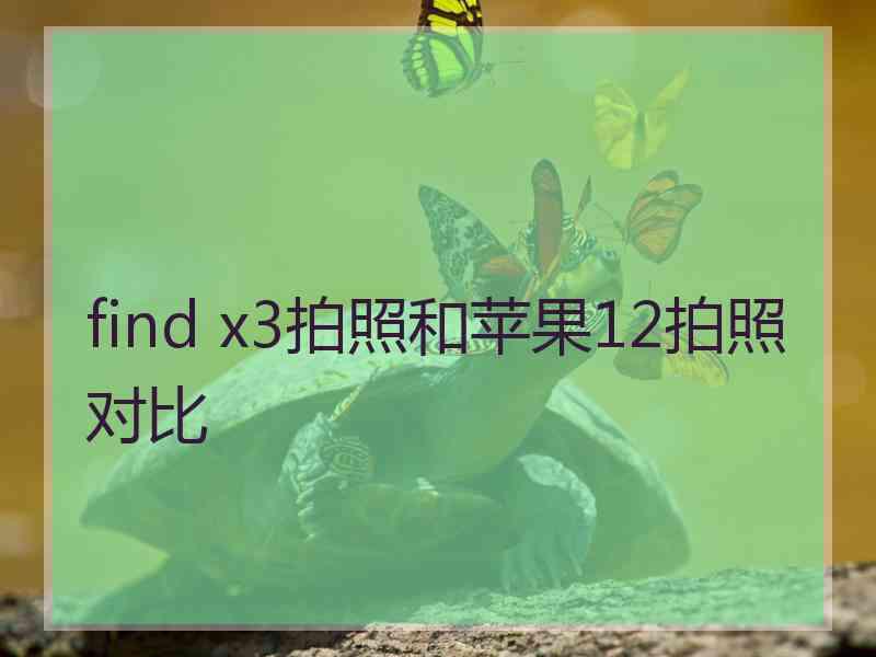 find x3拍照和苹果12拍照对比