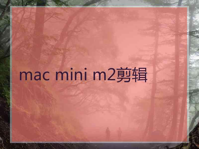 mac mini m2剪辑