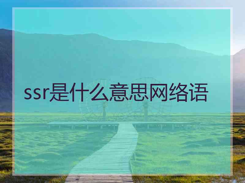 ssr是什么意思网络语