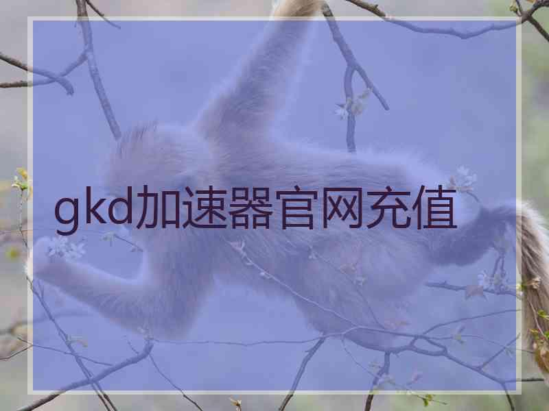 gkd加速器官网充值