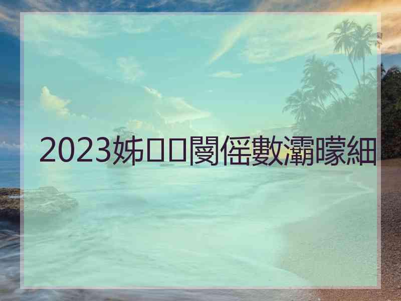 2023姊閿傜數灞曚細