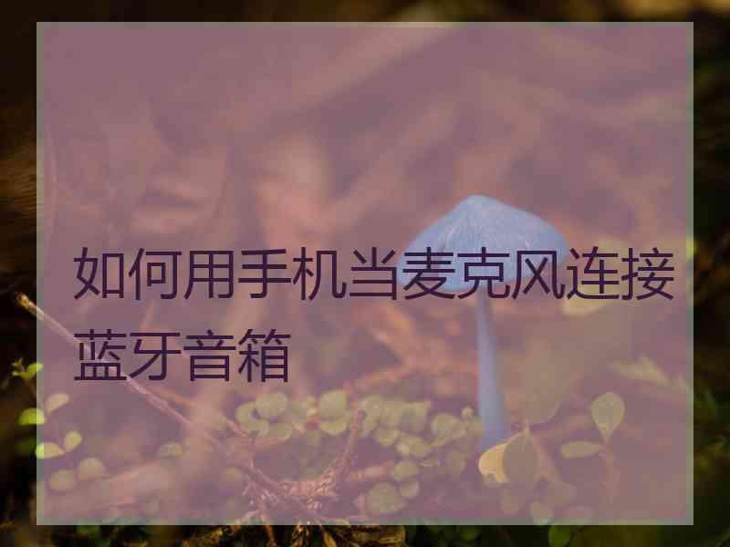 如何用手机当麦克风连接蓝牙音箱