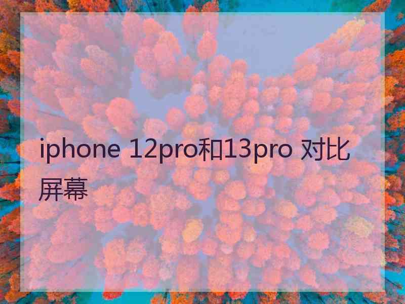 iphone 12pro和13pro 对比屏幕