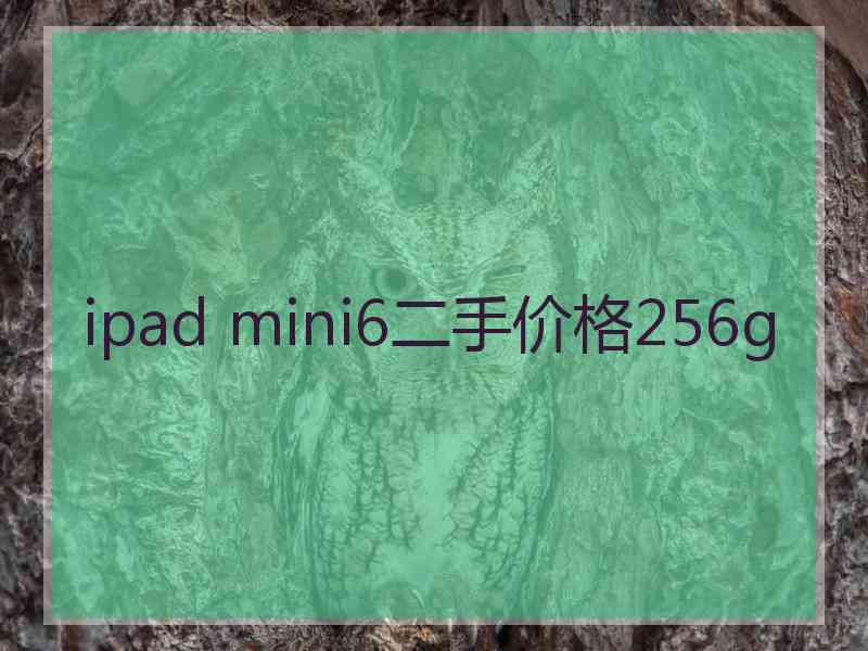 ipad mini6二手价格256g