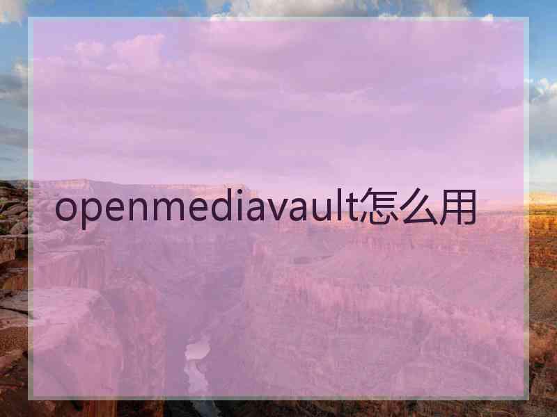 openmediavault怎么用