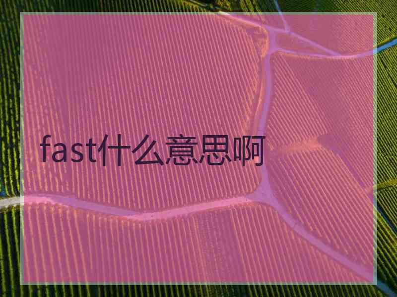 fast什么意思啊