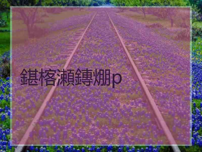 鍖楁瀬鏄焩p