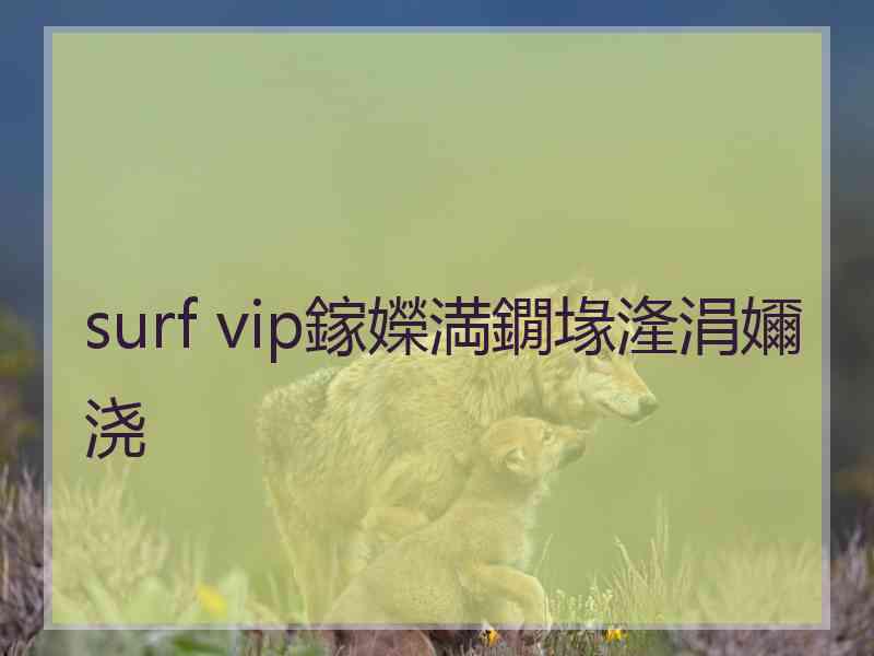 surf vip鎵嬫満鐗堟湰涓嬭浇