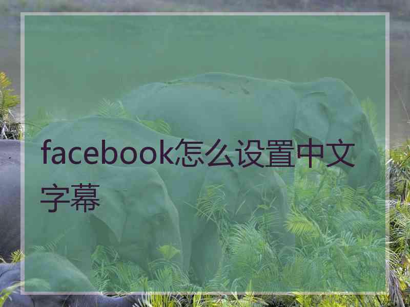 facebook怎么设置中文字幕