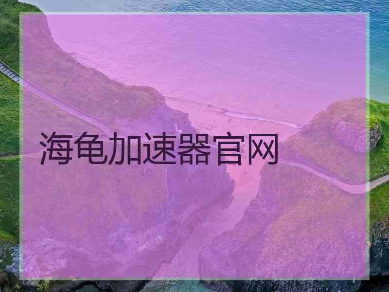 海龟加速器官网