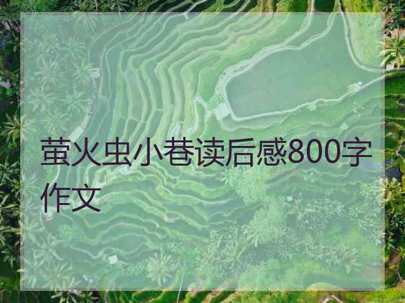 萤火虫小巷读后感800字作文