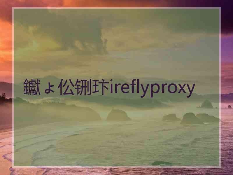 钀ょ伀铏玣ireflyproxy