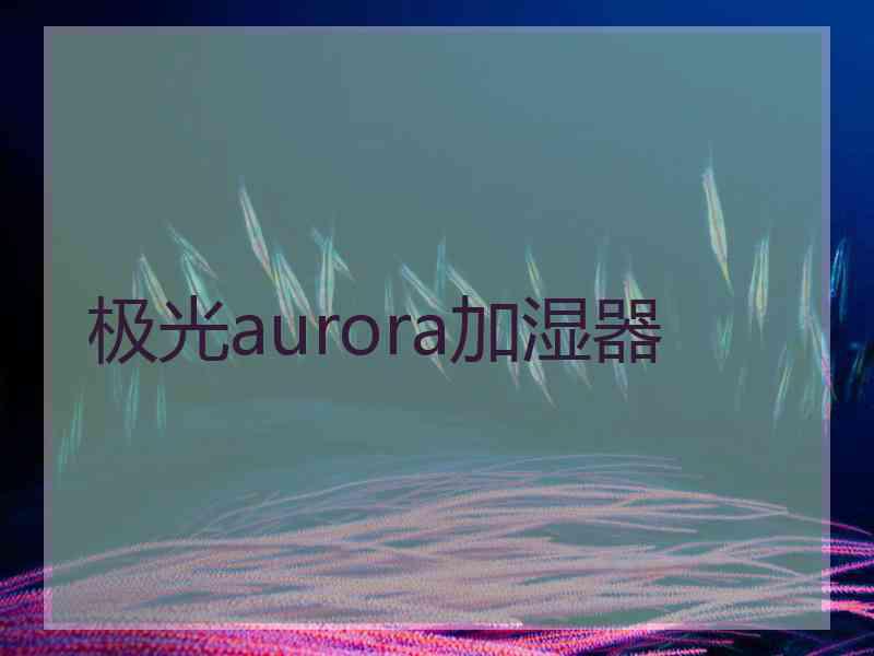 极光aurora加湿器