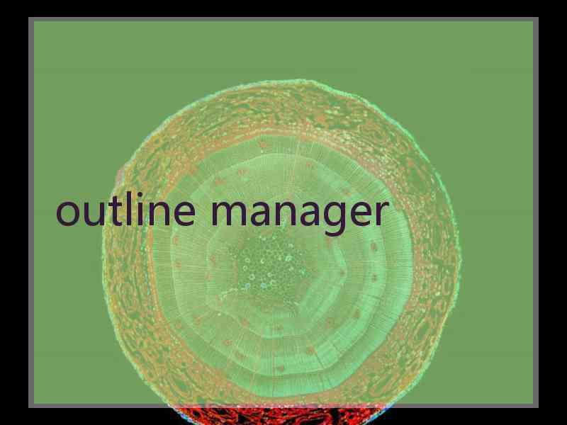 outline manager