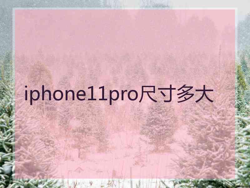 iphone11pro尺寸多大