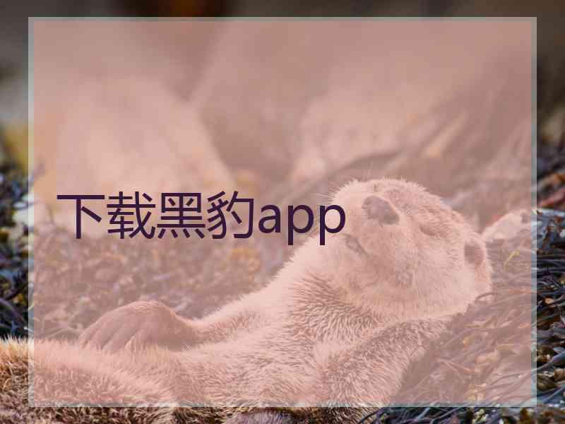 下载黑豹app