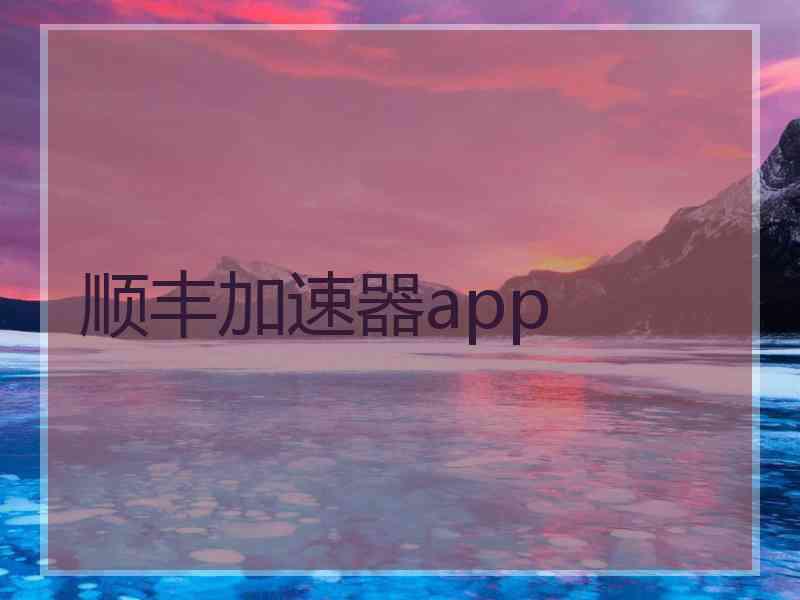 顺丰加速器app