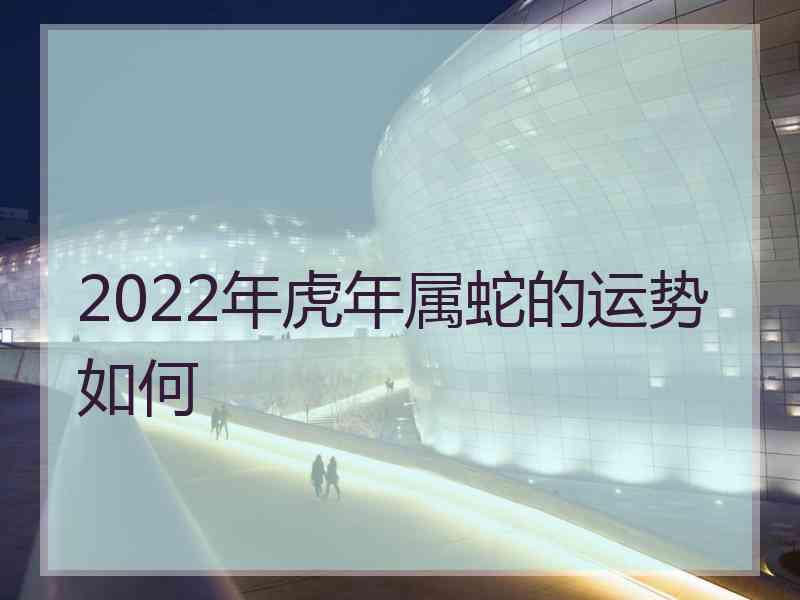 2022年虎年属蛇的运势如何