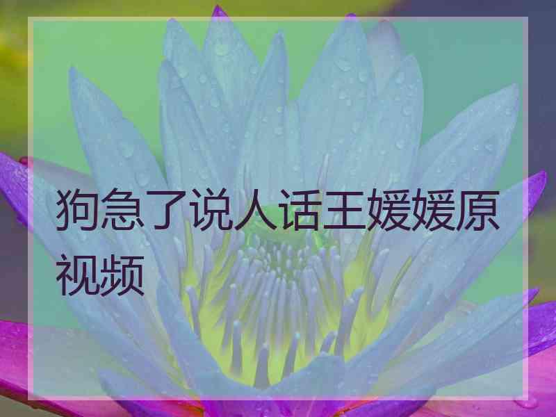 狗急了说人话王媛媛原视频