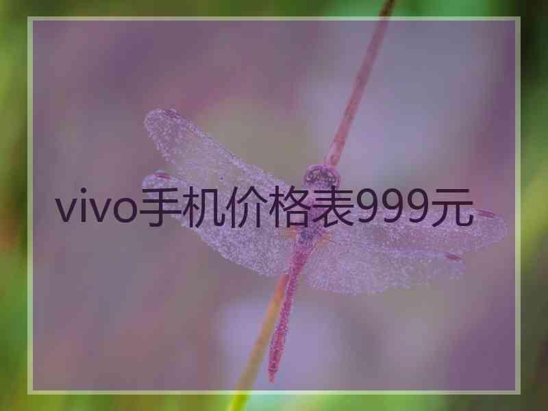 vivo手机价格表999元