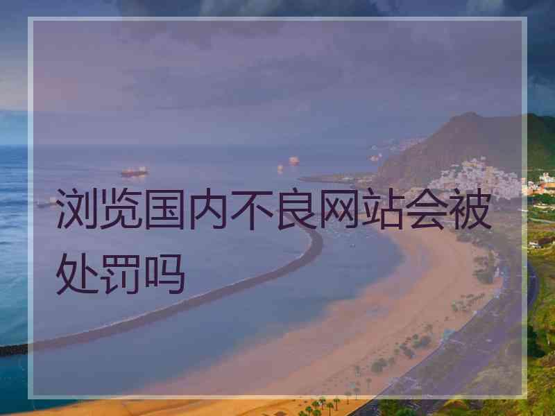 浏览国内不良网站会被处罚吗