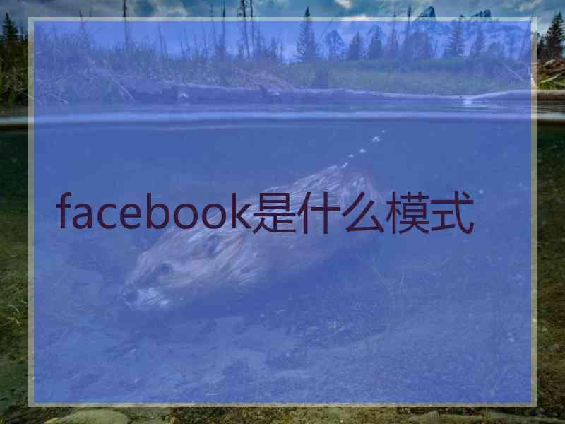 facebook是什么模式