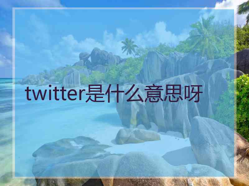 twitter是什么意思呀