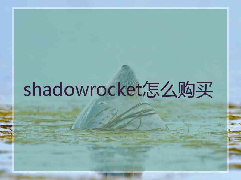 shadowrocket怎么购买