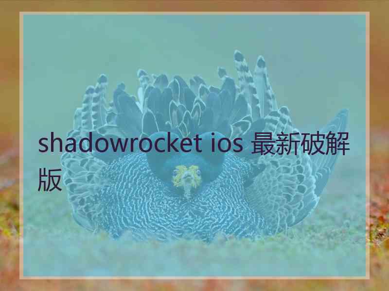 shadowrocket ios 最新破解版