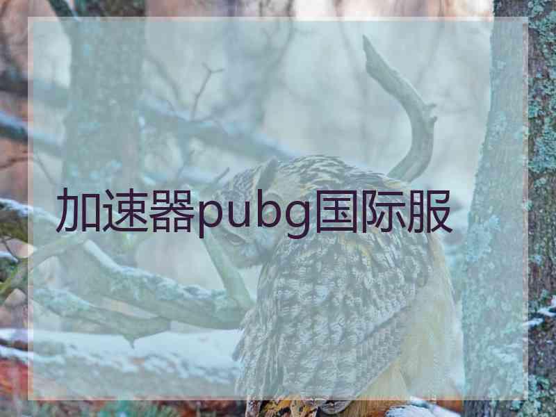 加速器pubg国际服