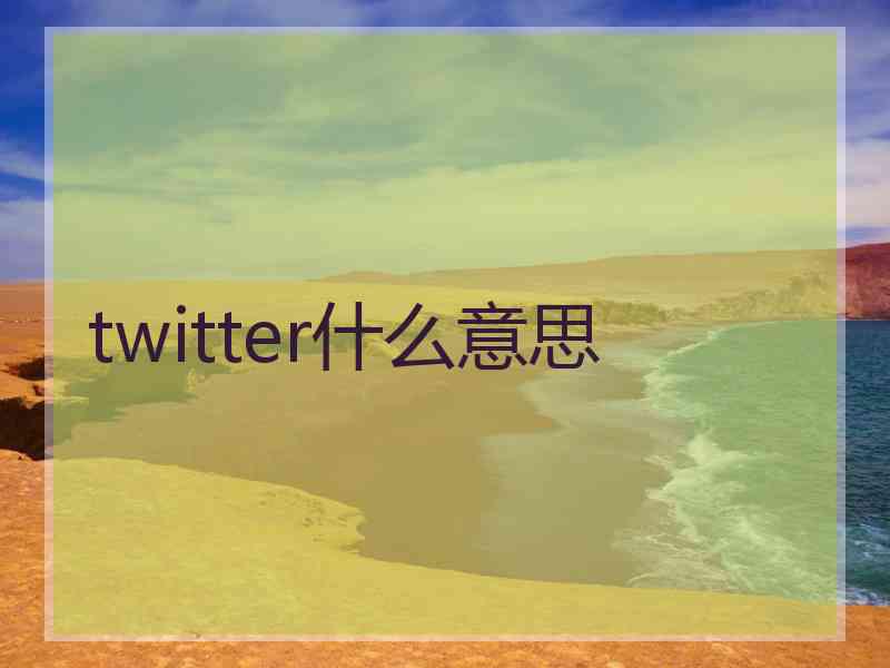 twitter什么意思