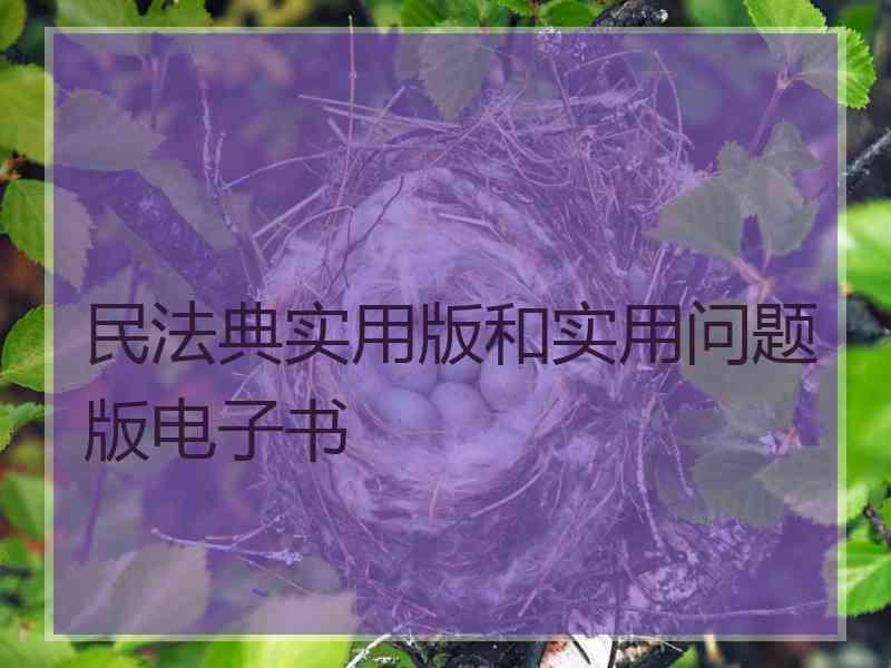 民法典实用版和实用问题版电子书