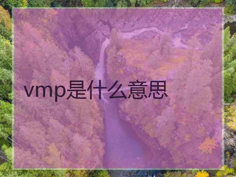 vmp是什么意思