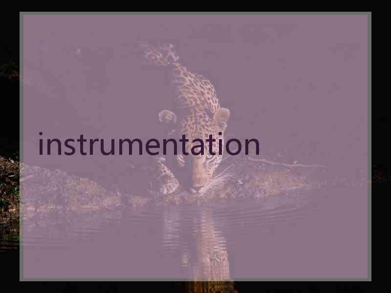 instrumentation