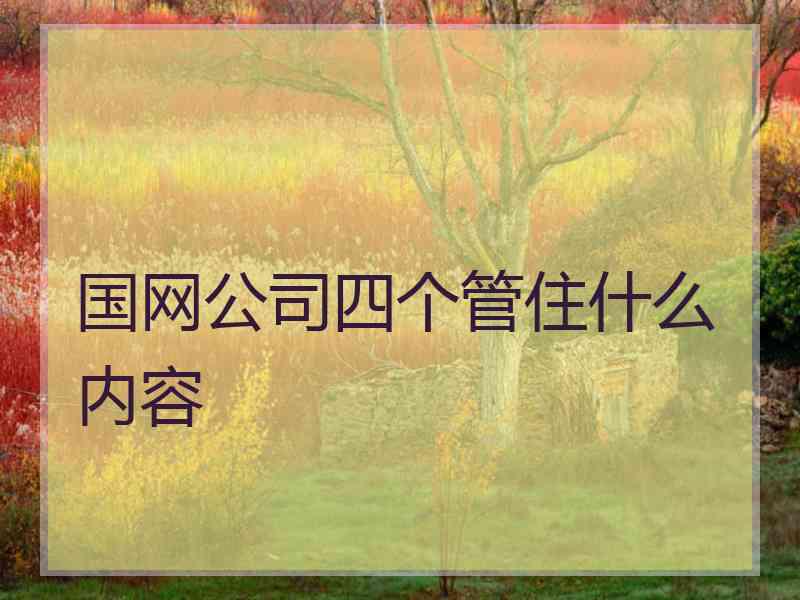 国网公司四个管住什么内容