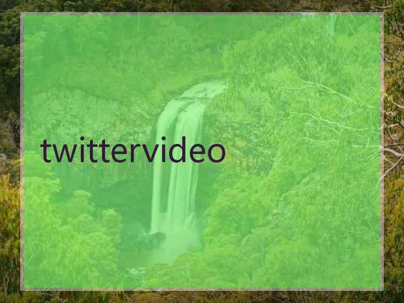 twittervideo