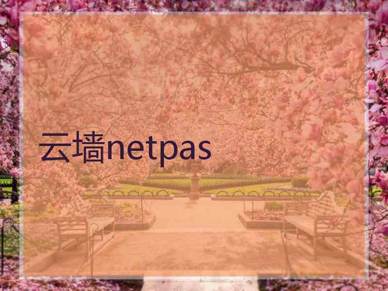 云墙netpas