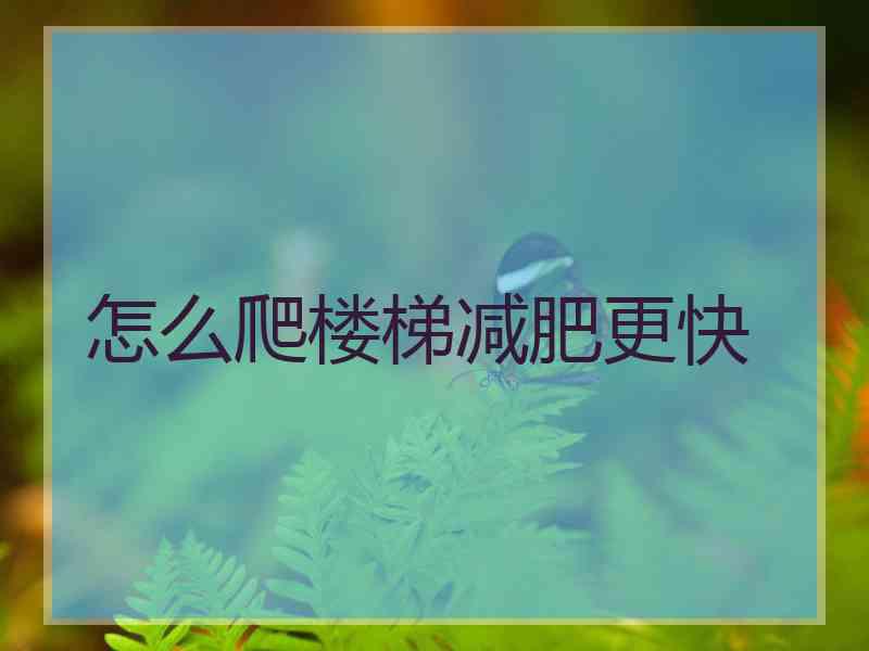 怎么爬楼梯减肥更快