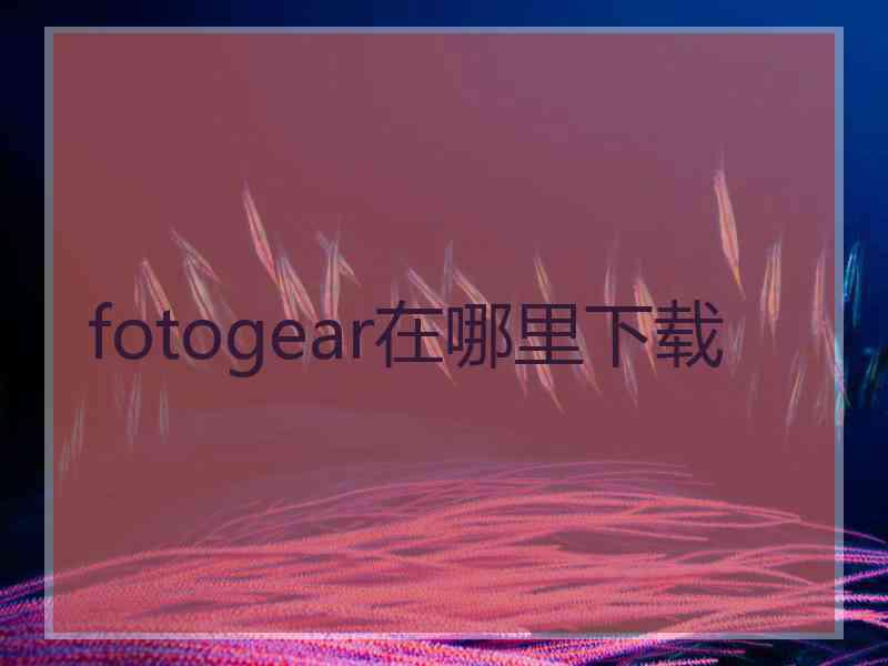 fotogear在哪里下载