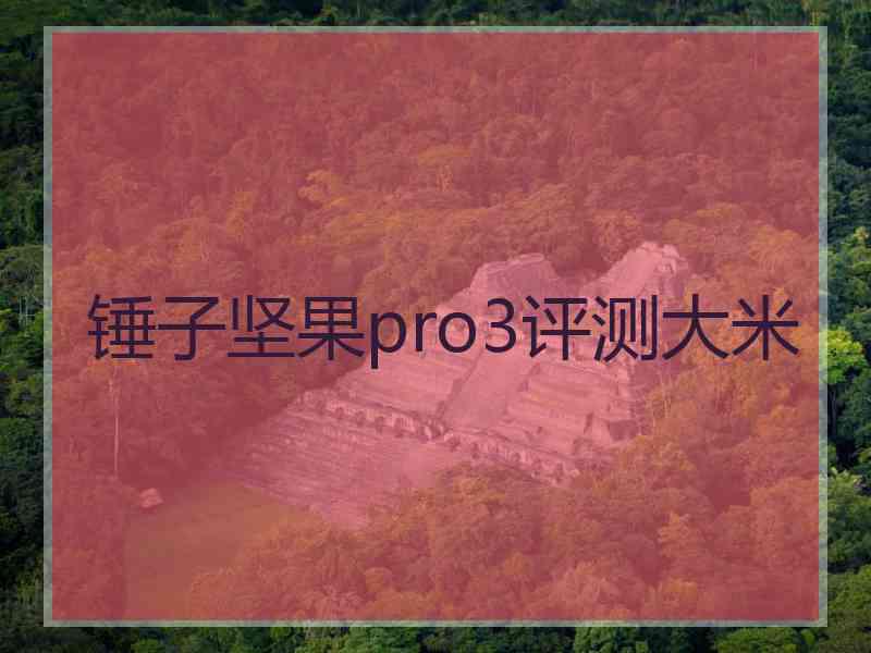 锤子坚果pro3评测大米